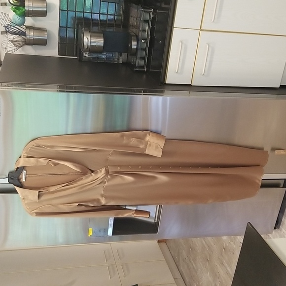 💕REFORMATION💕 Lyon Silk Dress ~ Croissant 8 NWT - Picture 7 of 14